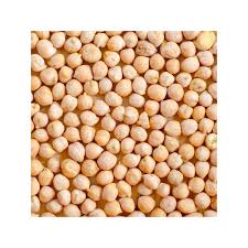 GARBANZO PEDROSILLANO  10K